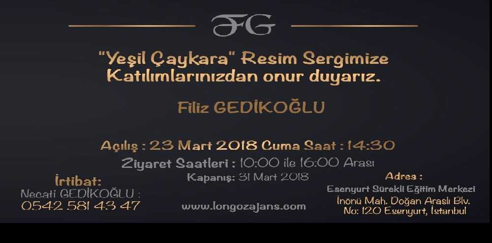 İstanbul'da Yeşil Çaykara resim sergisi 1