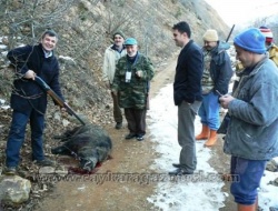 Yeni Valimiz Dr. Recep Kızılcık 1